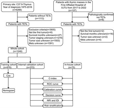 A novel risk classifier for predicting the overall survival of patients with thymic epithelial tumors based on the eighth edition of the TNM staging system: A population-based study